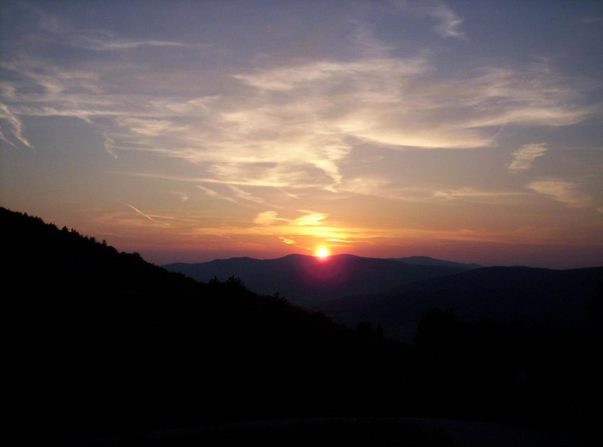Schöfweg Bayern Ferienland Sonnenwald 아파트 외부 사진
