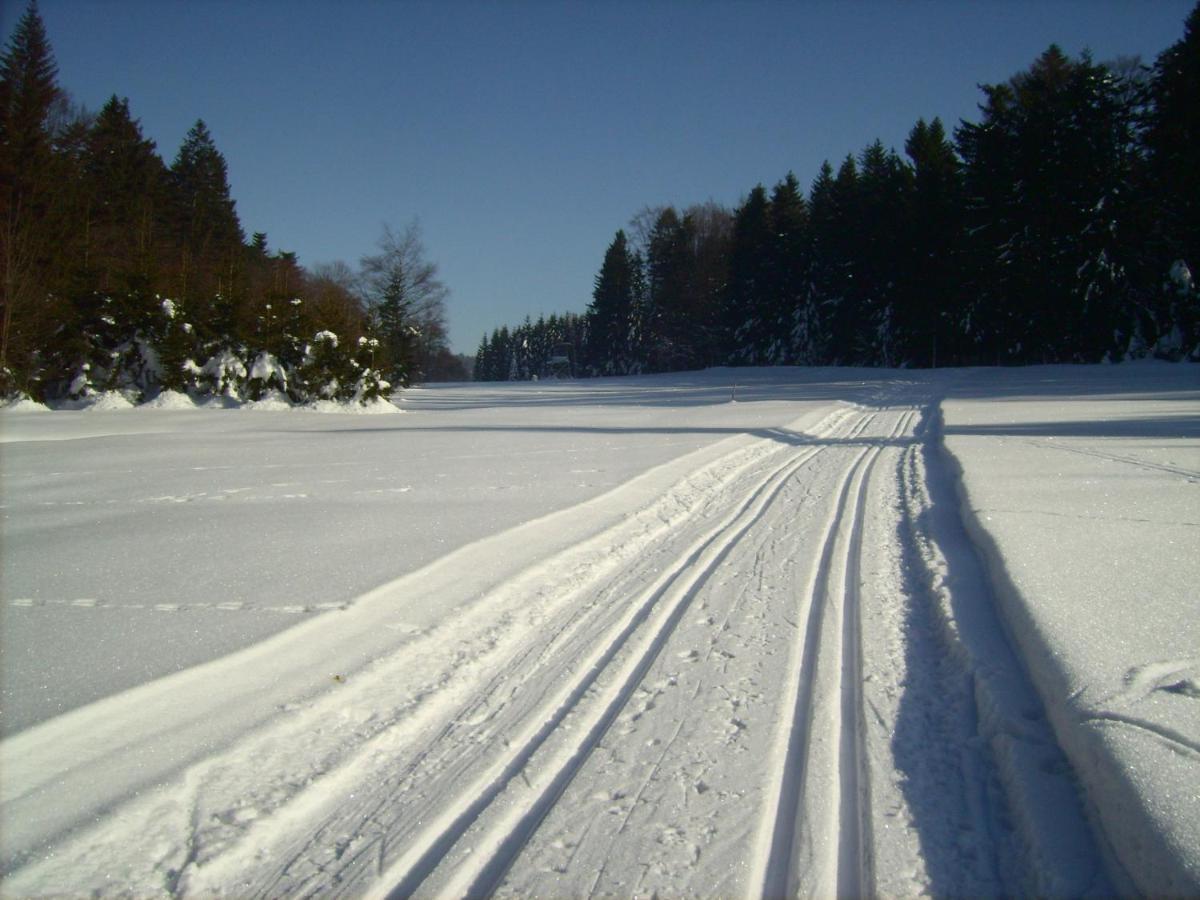 Schöfweg Bayern Ferienland Sonnenwald 아파트 외부 사진