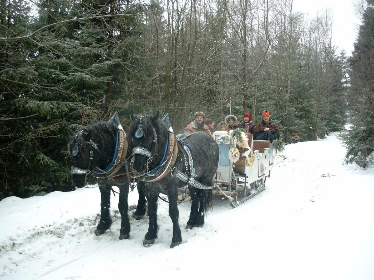 Schöfweg Bayern Ferienland Sonnenwald 아파트 외부 사진